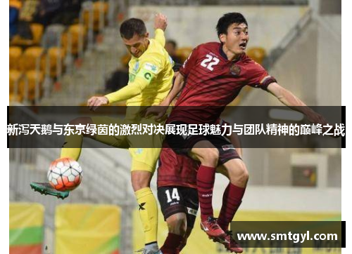新泻天鹅与东京绿茵的激烈对决展现足球魅力与团队精神的巅峰之战